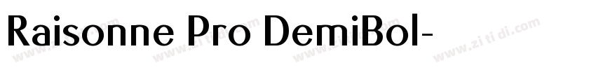 Raisonne Pro DemiBol字体转换